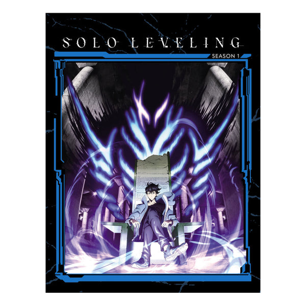 704400110917_solo-leveling-