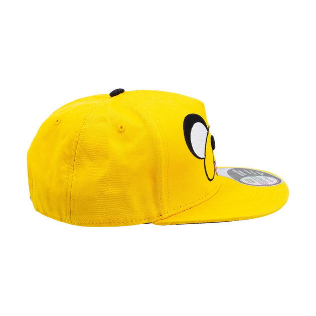 Jake's Big Face Hat