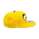 Jake's Big Face Hat