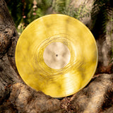 Banjo-Kazooie Vinyl Soundtrack