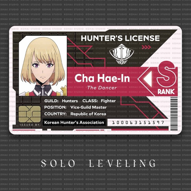 Solo Leveling Hunter License
