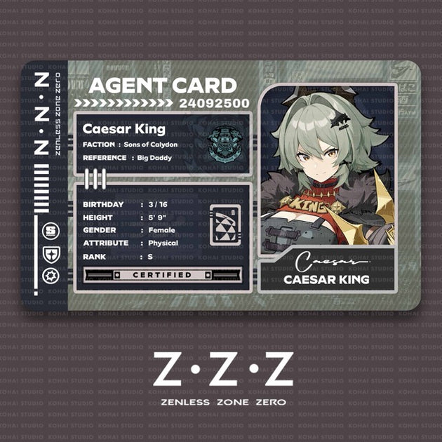 Zenless Zone Zero Agent Card