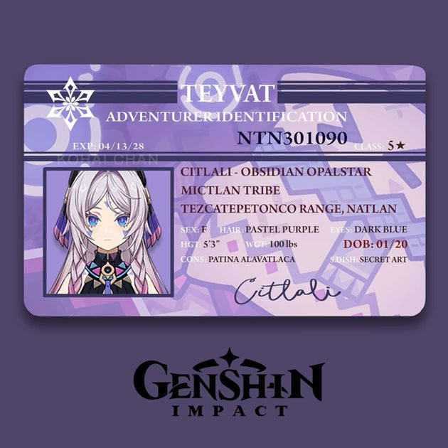 Genshin Impact Adventurer Card