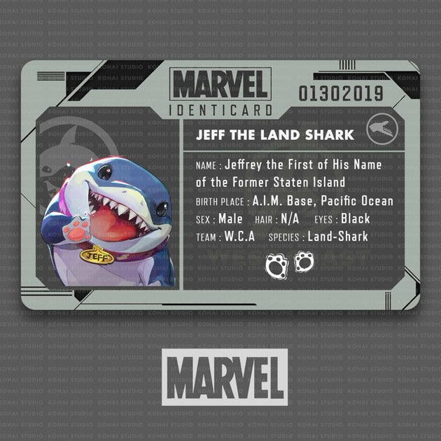 Marvel Rivals Identicards