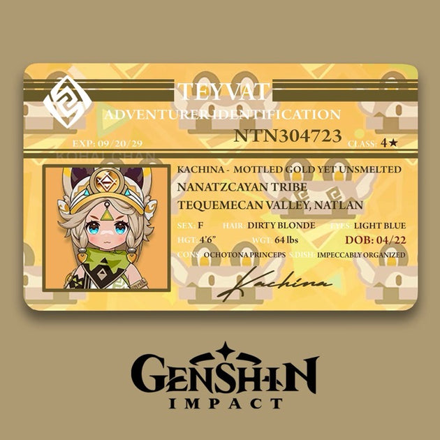 Genshin Impact Adventurer Card