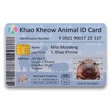 Credit Card Covers - Pop Culture
