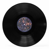 Ori and the Blind Forest Vinyl Soundtrack