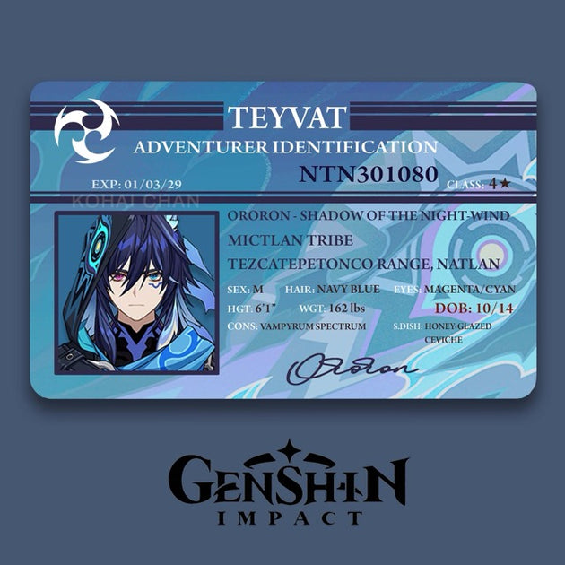 Genshin Impact Adventurer Card