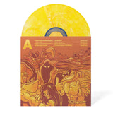 Rare 40th Anniversary Vinyl Box Set