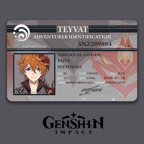 Genshin Impact Adventurer Card