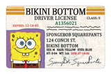 SpongeBob SquarePants ID Cards