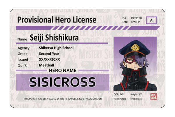 Provisional Hero License - Other